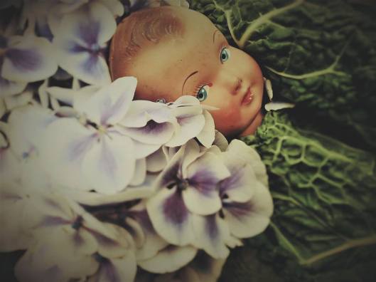 18813738_1158445184267482_8922633611585869921_n